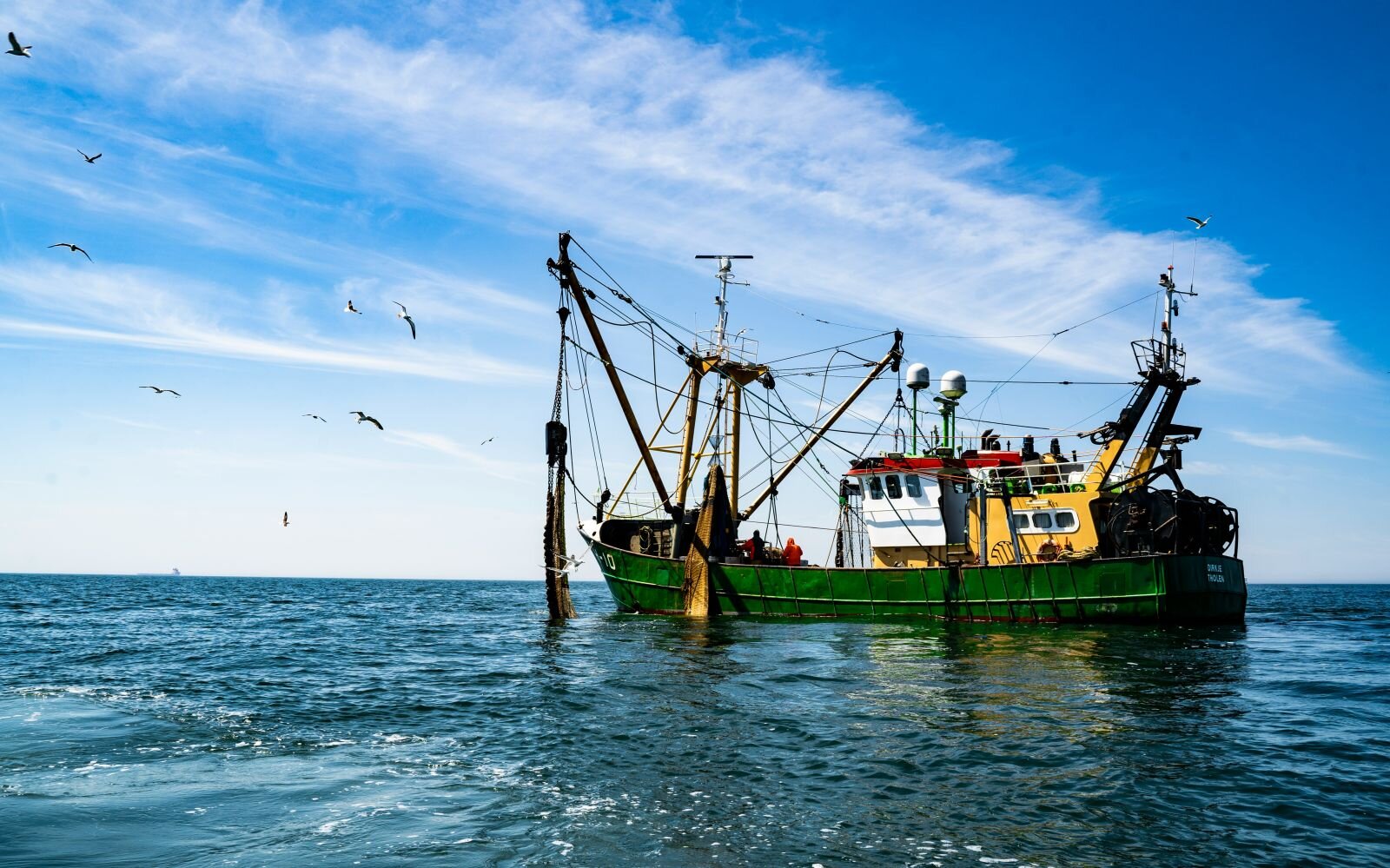 Declínio Global no Crescimento de Peixes ao Longo de um Século