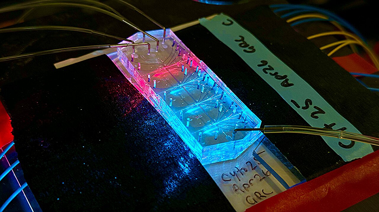Dispositivo Microfluídico Revoluciona Medição da Elasticidade Celular
