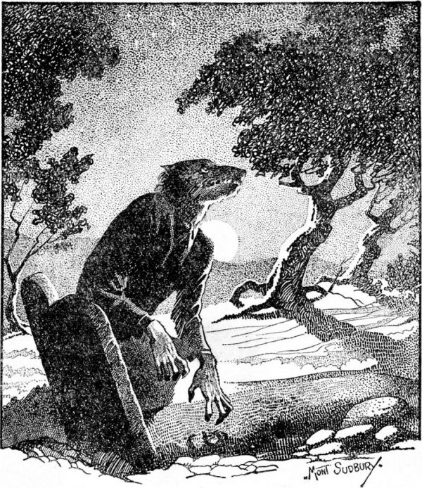 A Werewolf on God's Side: The Enigmatic Case of Thiess of Kaltenbrun