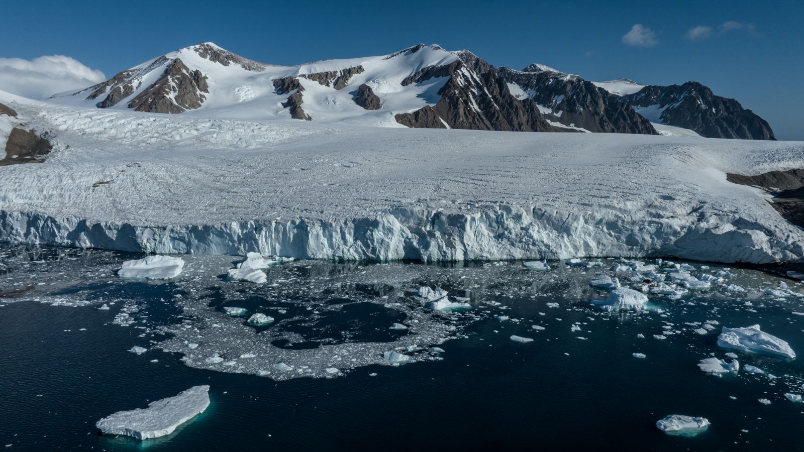 Antarctic Sea Ice Shrinkage: Unraveling  a Decade of Changes with Deep-Diving Robots
