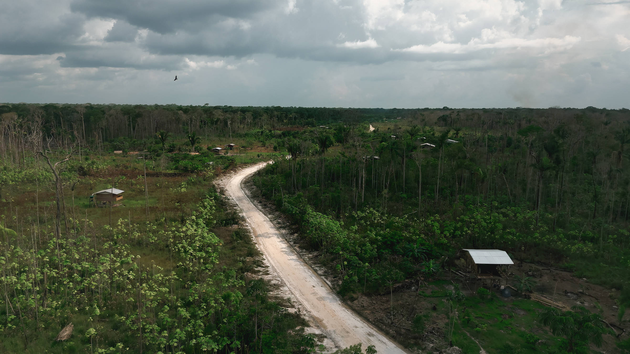 O Papel das Emendas Parlamentares no Desmatamento da Amazônia