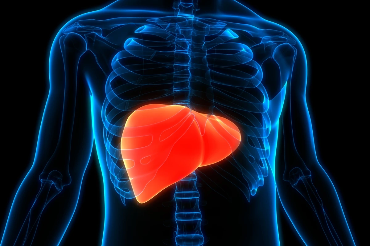 Hepatologista explica como suplementos de cúrcuma afetam o fígado