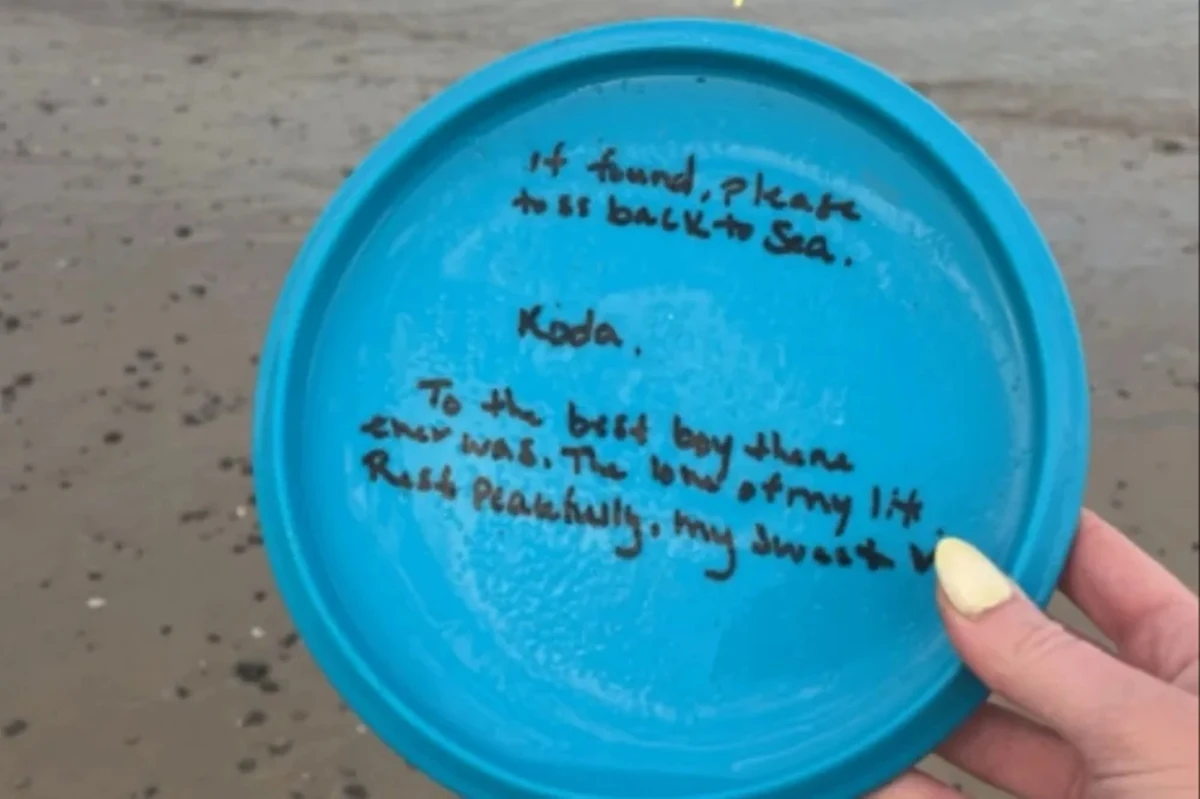 Emoção à Beira-Mar: Mensagem de Despedida Encontrada em Frisbee