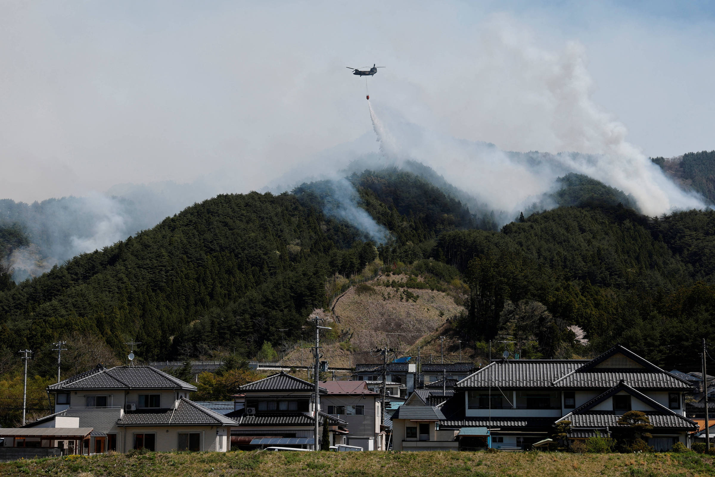 Incêndios Florestais no Japão Forçam Evacuação em Larga Escala