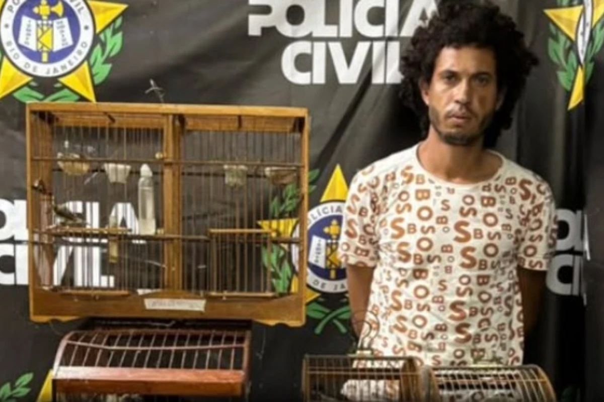 Prisões por Maus-Tratos Animais: O Caso da Capivara Agredida no Rio de Janeiro