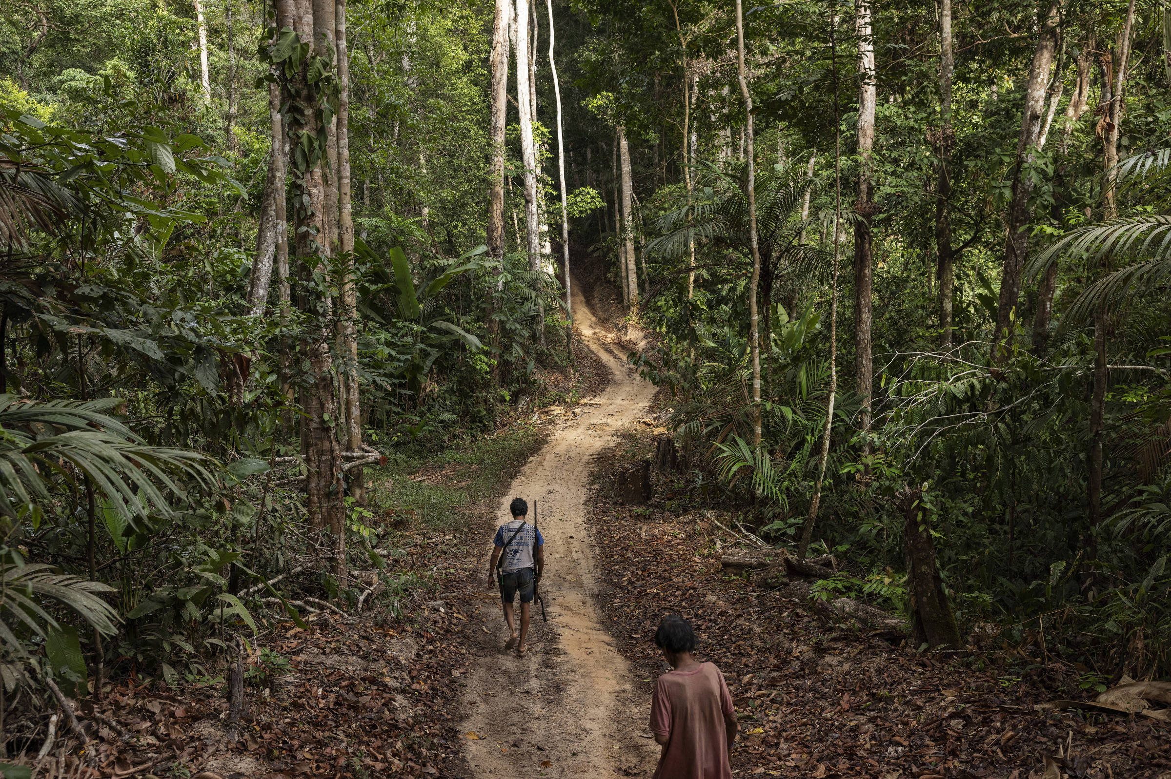 Rainforest Investigations Network Seleciona Jornalistas para Nova Turma