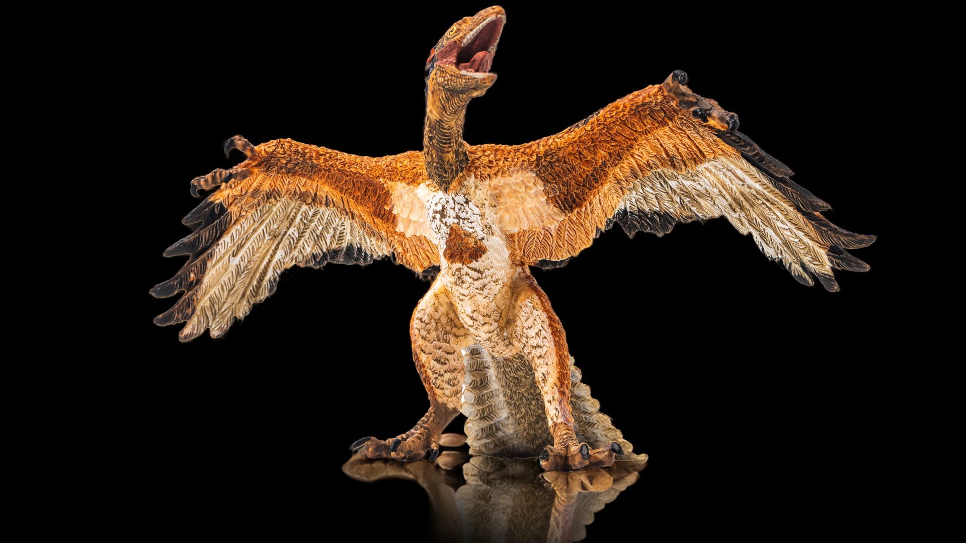 O Fluffy Fossil que Mudou Nossa Compreensão da Evolução das Aves