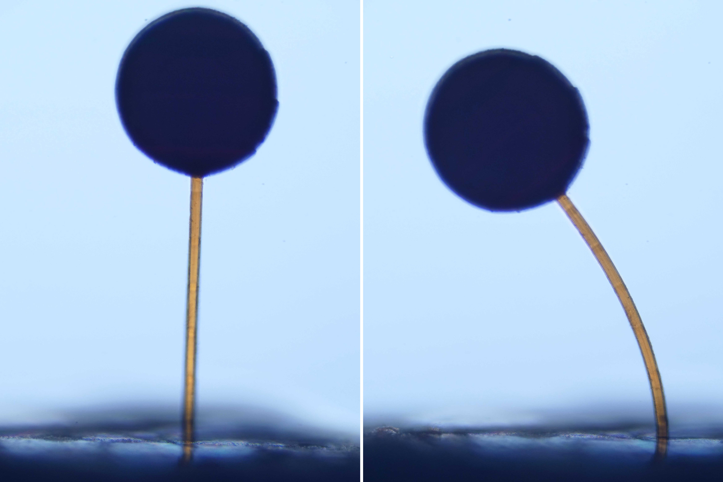 Com um deslizar de um ímã, micro robôs magnéticos realizam manobras complexas