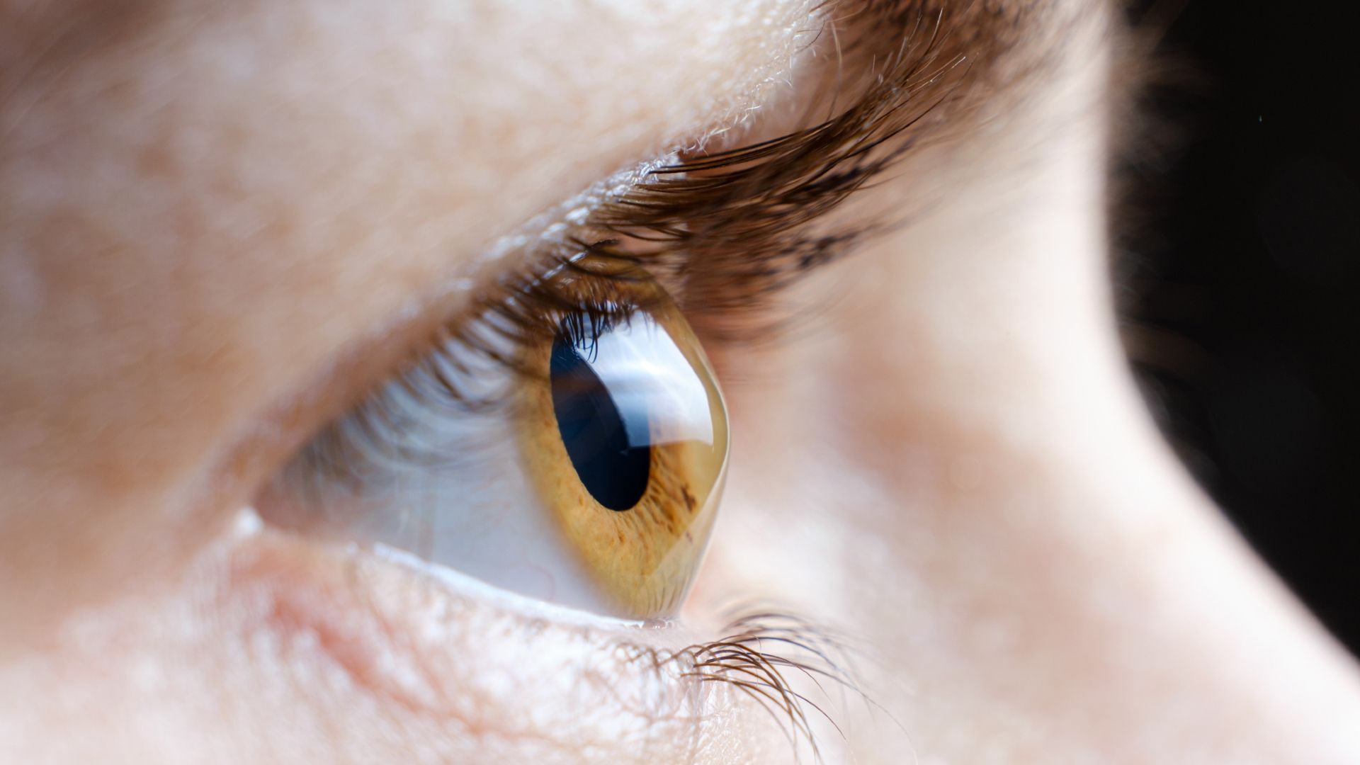 Entenda o Risco de Acidente Vascular Ocular Associado ao Wegovy: O Que Você Precisa Saber