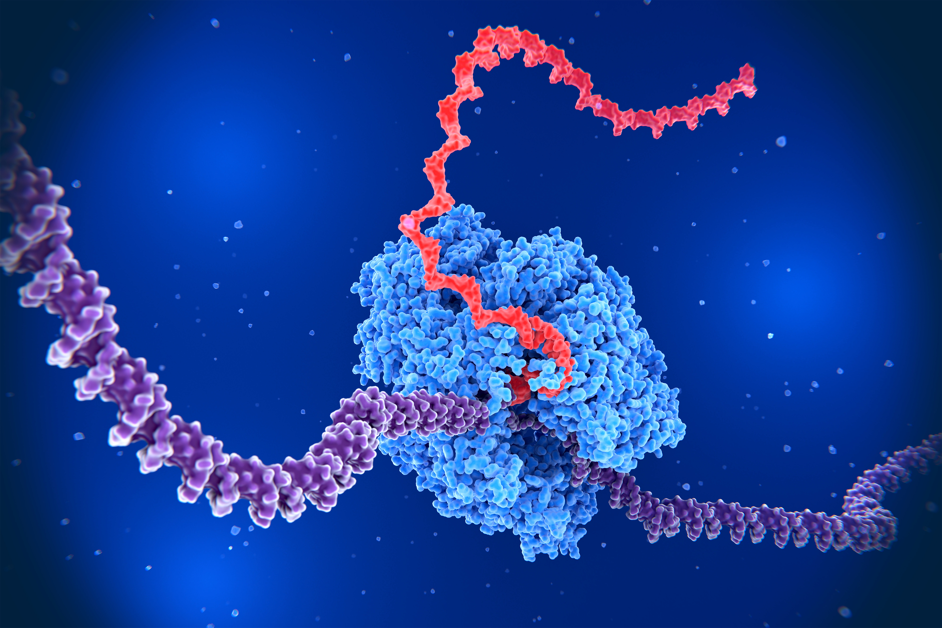 Circuitos Genéticos: Reconfigurando a Estrutura do DNA e Influenciando a Expressão Gênica
