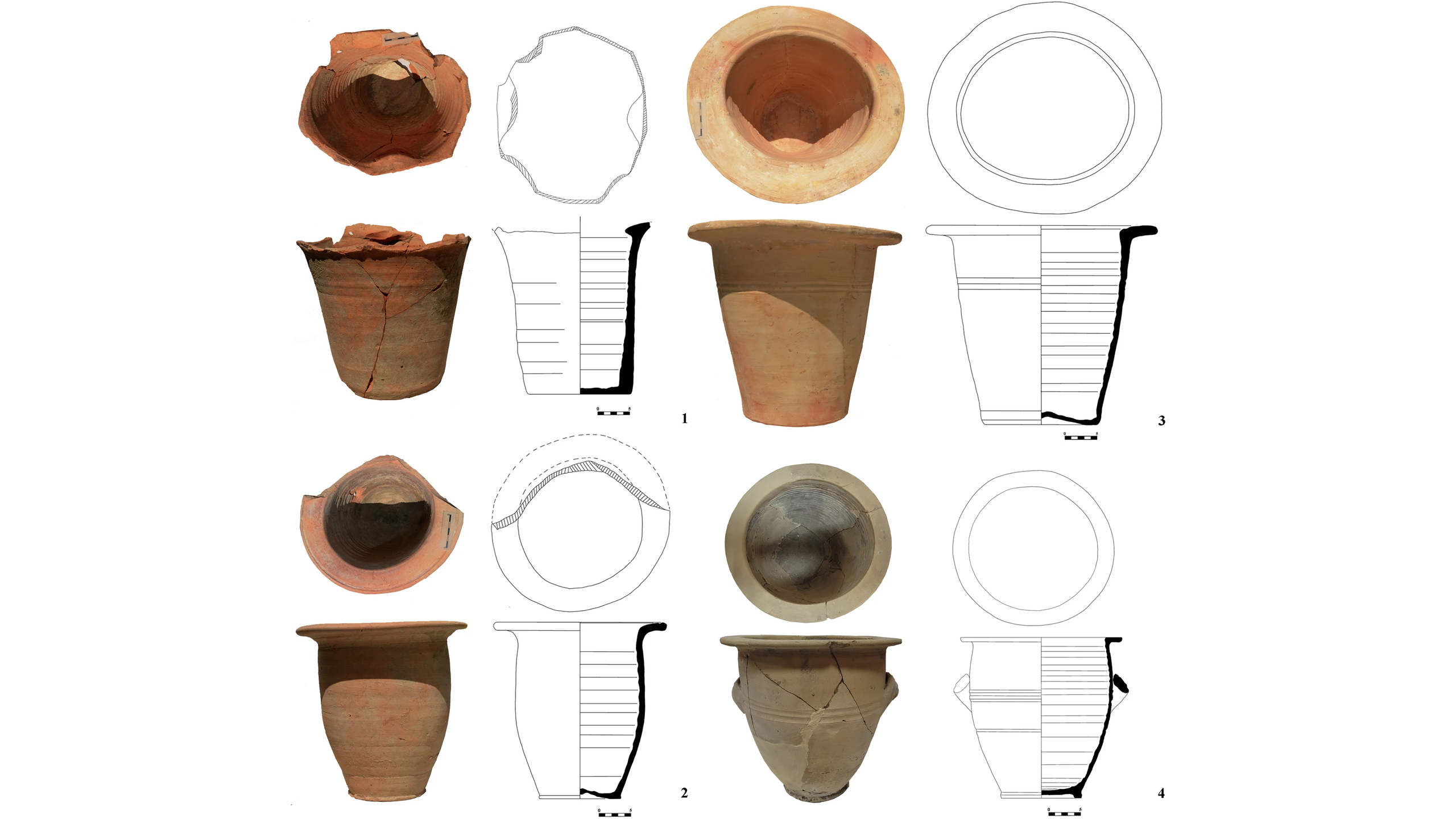 Chamber Pots of Ancient Rome: Unveiling the Oldest Cases of Cryptosporidium Infection