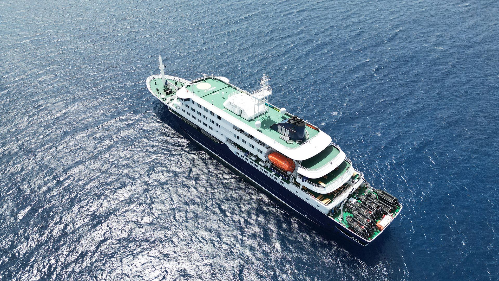 Andes Virus: Culprit Behind Cruise Ship Health Scare Identified
