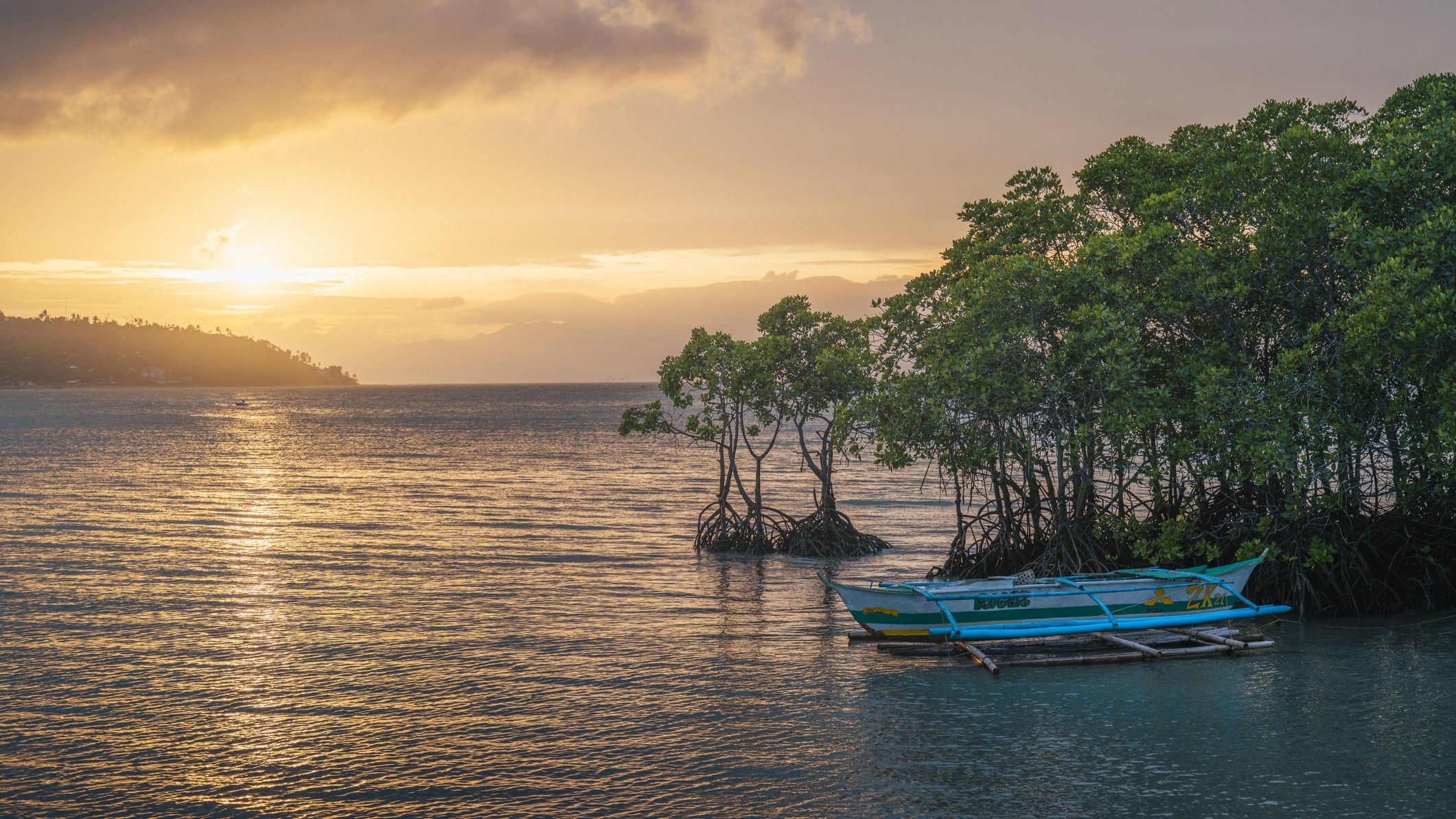 Mangroves: A Natural Solution to Nitrogen Pollution Valued at $8.7 Billion Annually