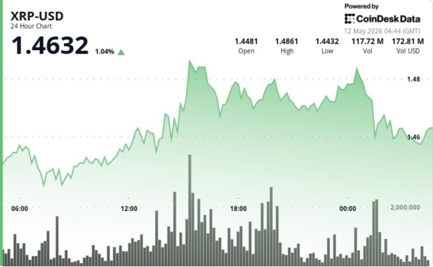 XRP: Resiliência e Desafios em um Cenário de Alta