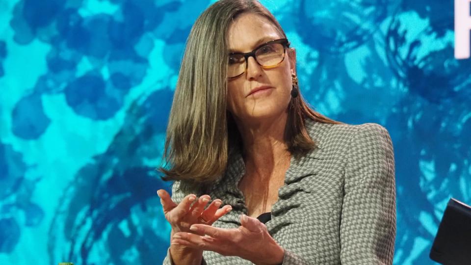 Ark Invest de Cathie Wood Acompanha Ações da Circle Após Alta de 2 Meses