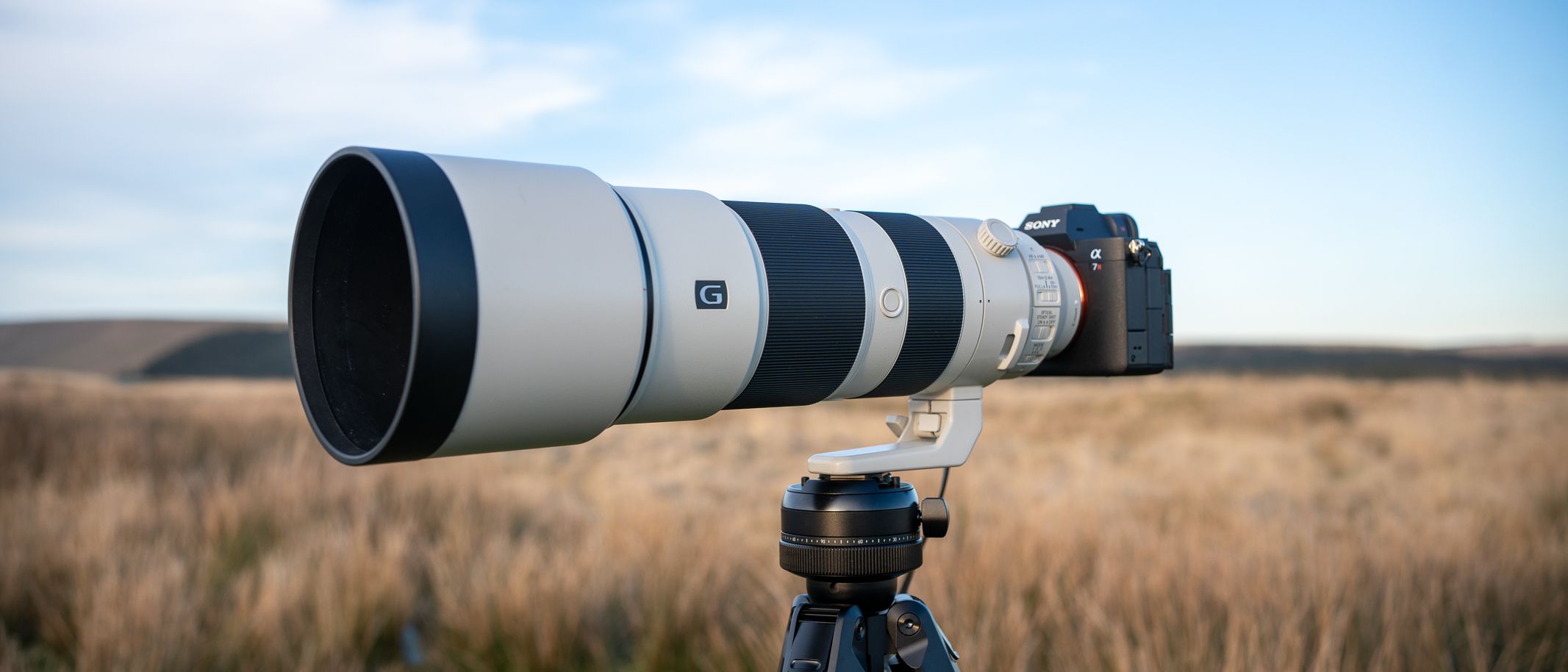 Explorando a Sony FE 200-600mm f/5.6-6.3 G OSS: Um Olhar Futurista na Fotografia de Vida Selvagem