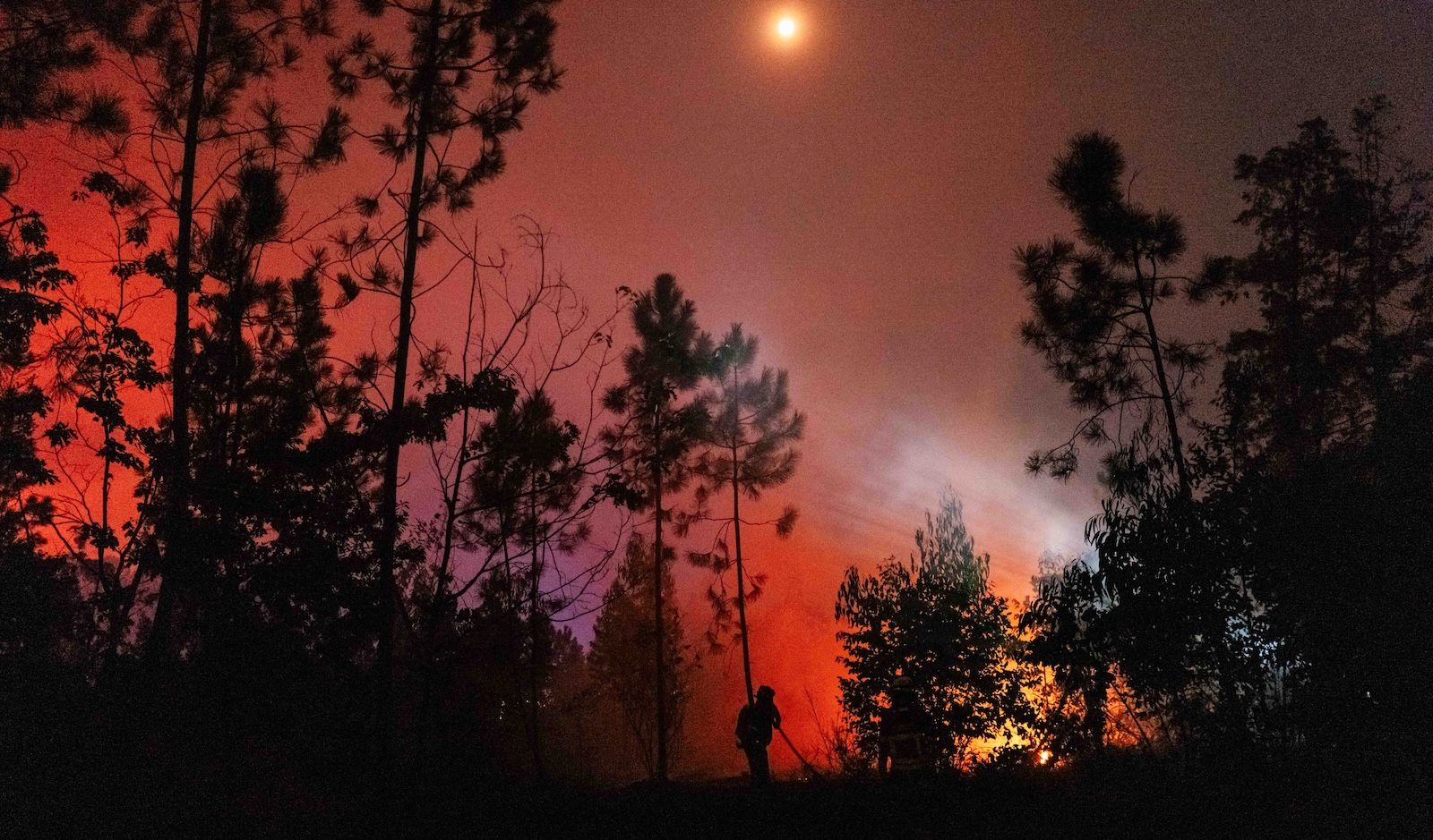 Preparando-se para o Super El Niño: Um Cenário de Temperaturas Extremas e Desafios Humanitários