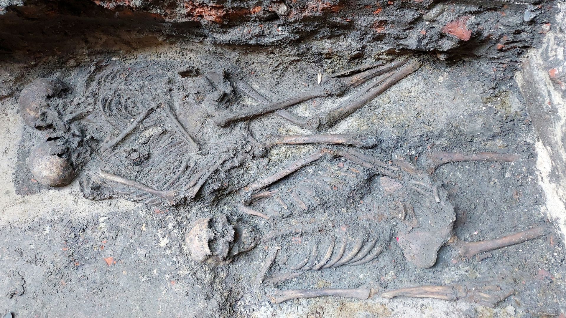 Descoberta de 800 Anos: Os 'Esqueletos Abraçados' de Opole, Polônia