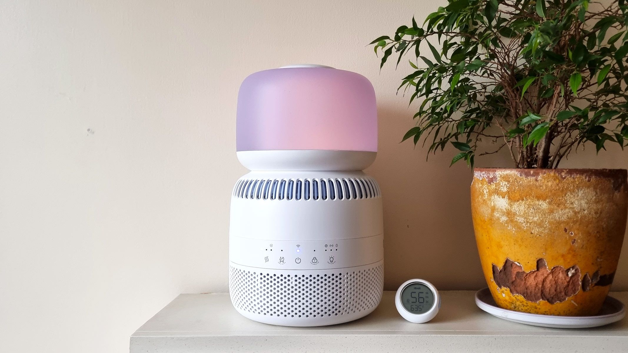 Levoit Sprout Evaporative Humidifier: A Revolutionary Toy for Modern Nurseries