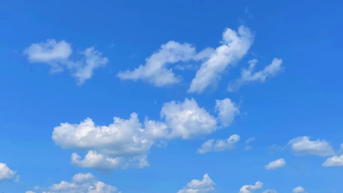A Nova Era do Bluesky: Conteúdo Longo como Aposta Contra o X Articles