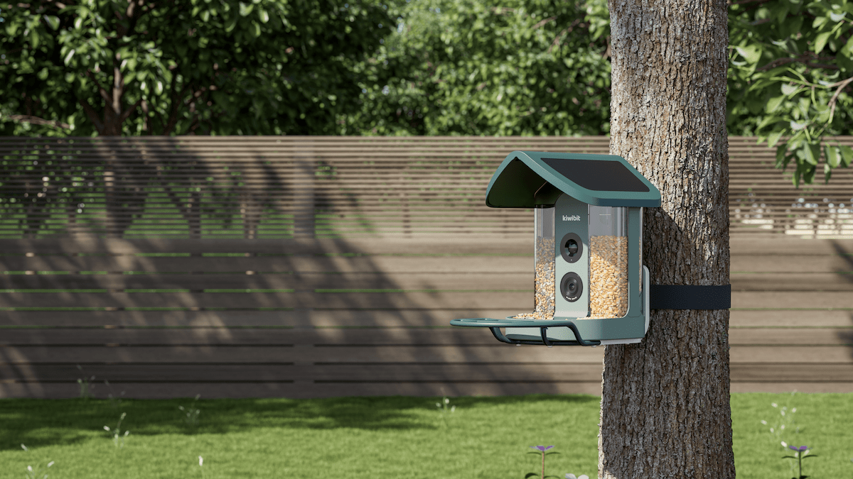 A Revolução dos Alimentadores de Pássaros: Kiwibit e a Nova Era da Conexão com a Natureza