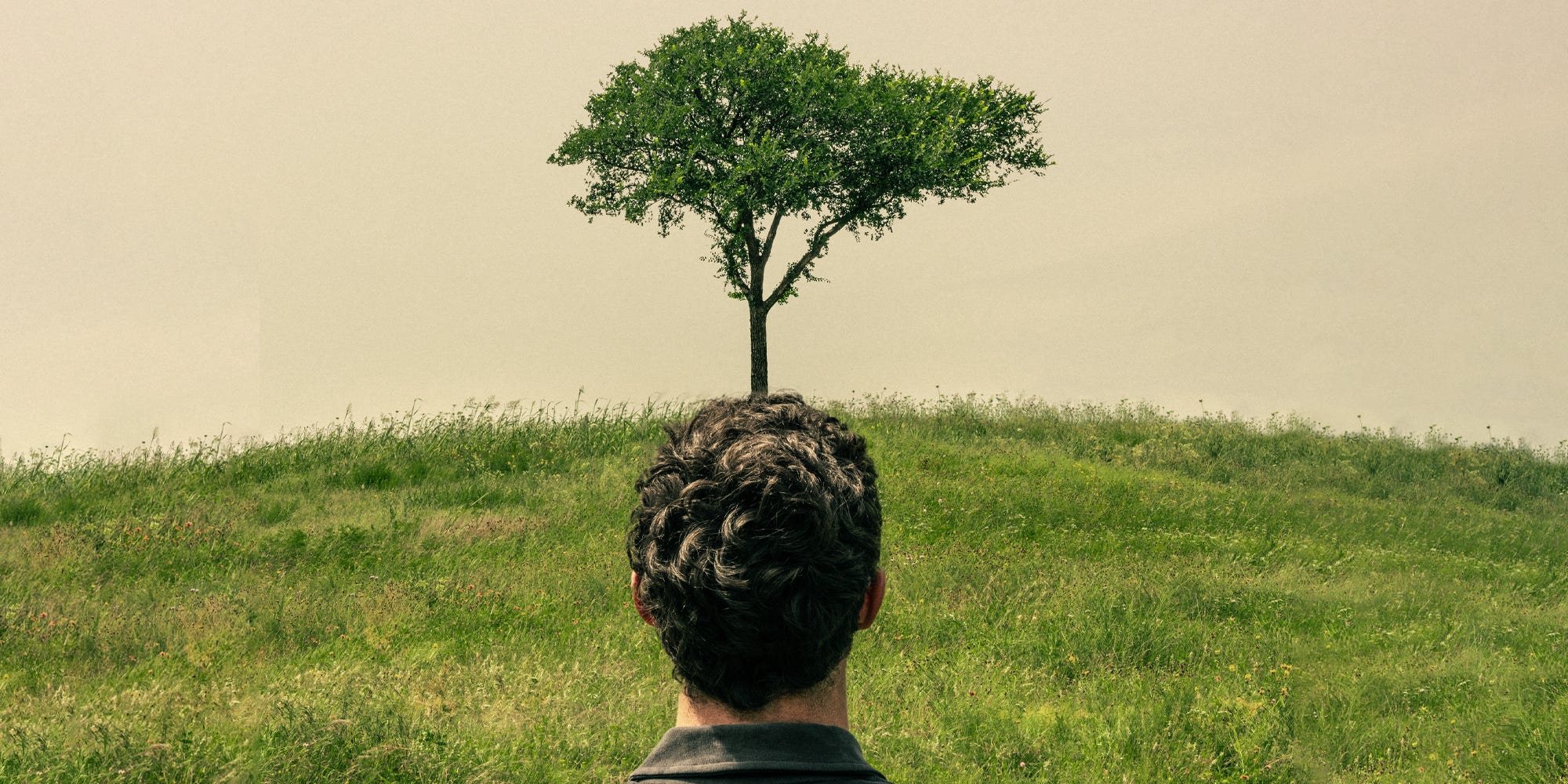 A Revolução Verde: Como o Nature-Maxxing Pode Reduzir o Estresse
