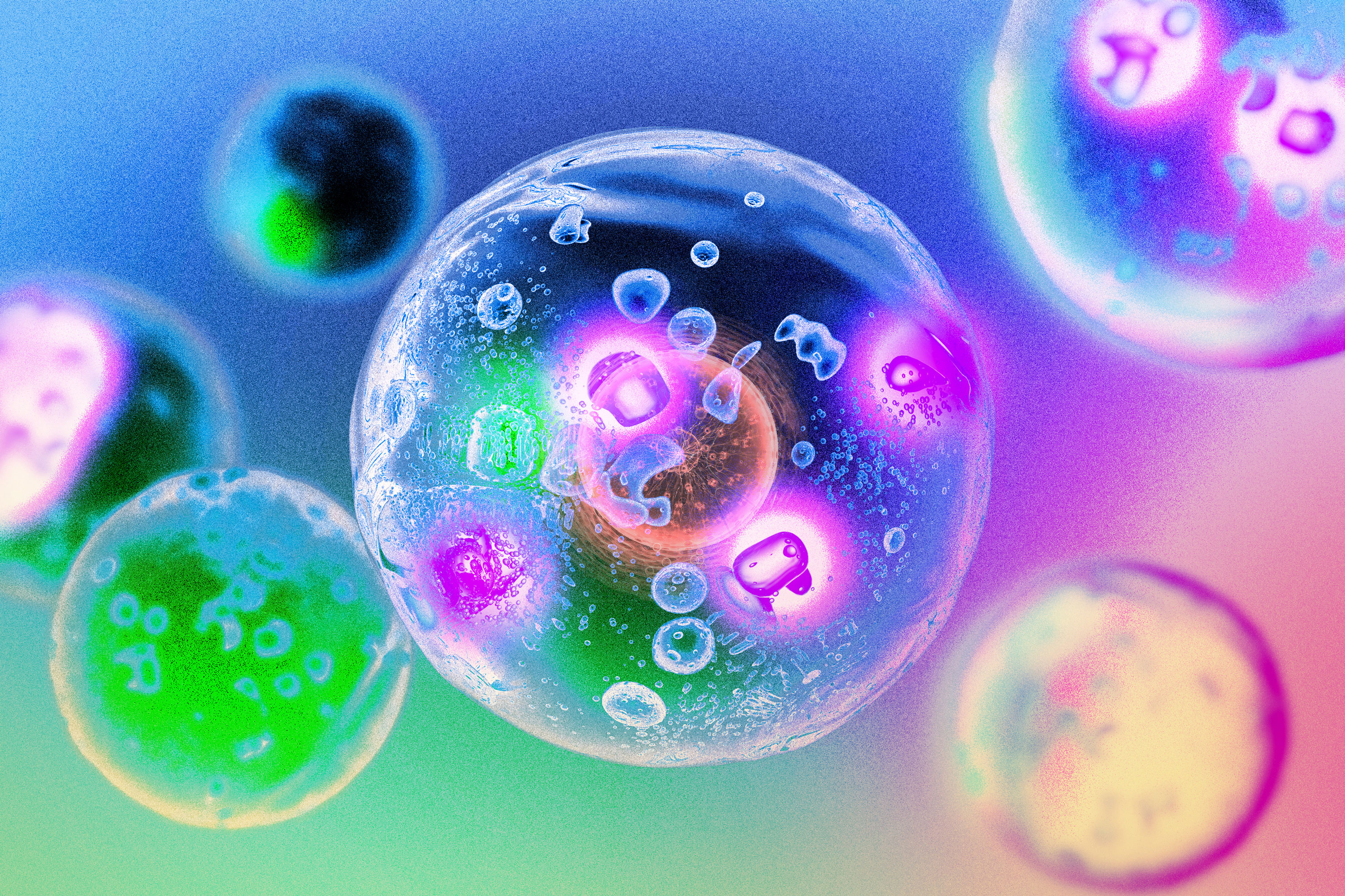 A Nova Era da Biologia Celular: Como as Dropletas de Enzimas Aceleram Reações Celulares