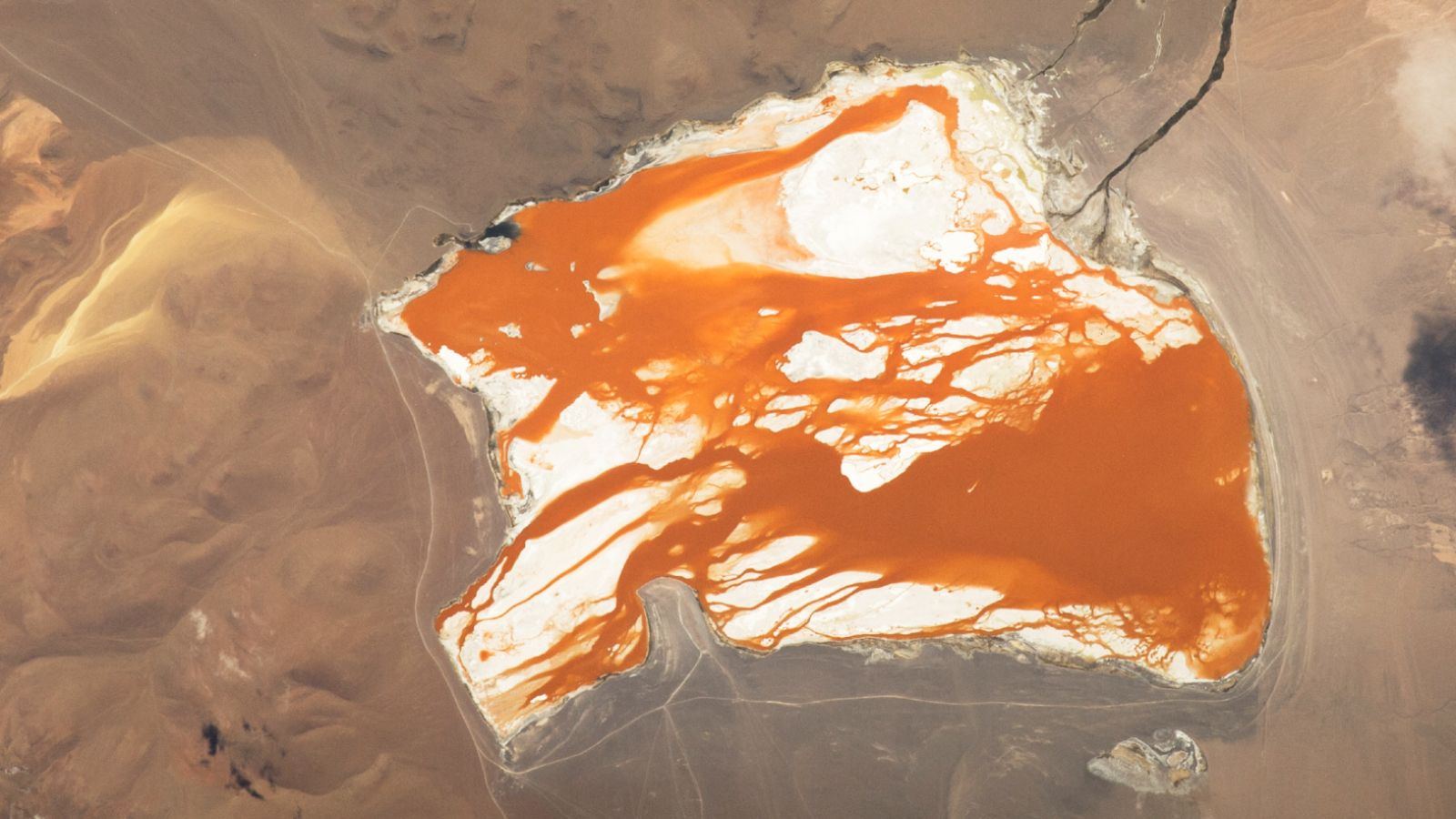 A Luminous Tapestry: The Enigmatic Laguna Colorada da Bolivia