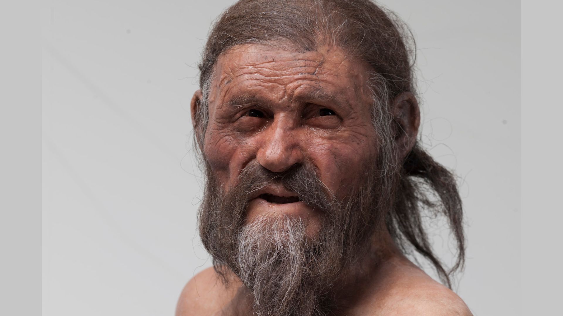 O Poder dos Microrganismos: Como as Leveduras Antigas de &Ouml;tzi Oferem Novas Possibilidades Culinárias