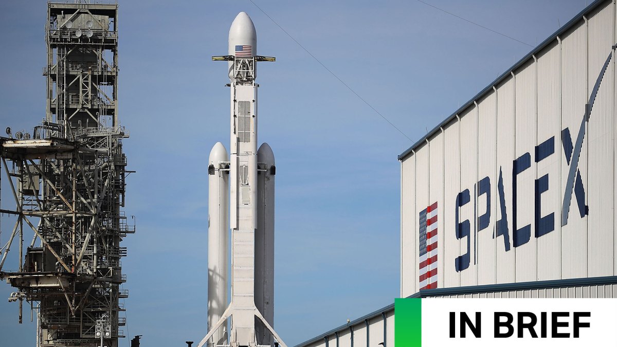 Desvendando o Futuro: O Desafio dos Investidores de SPV da SpaceX Após o IPO