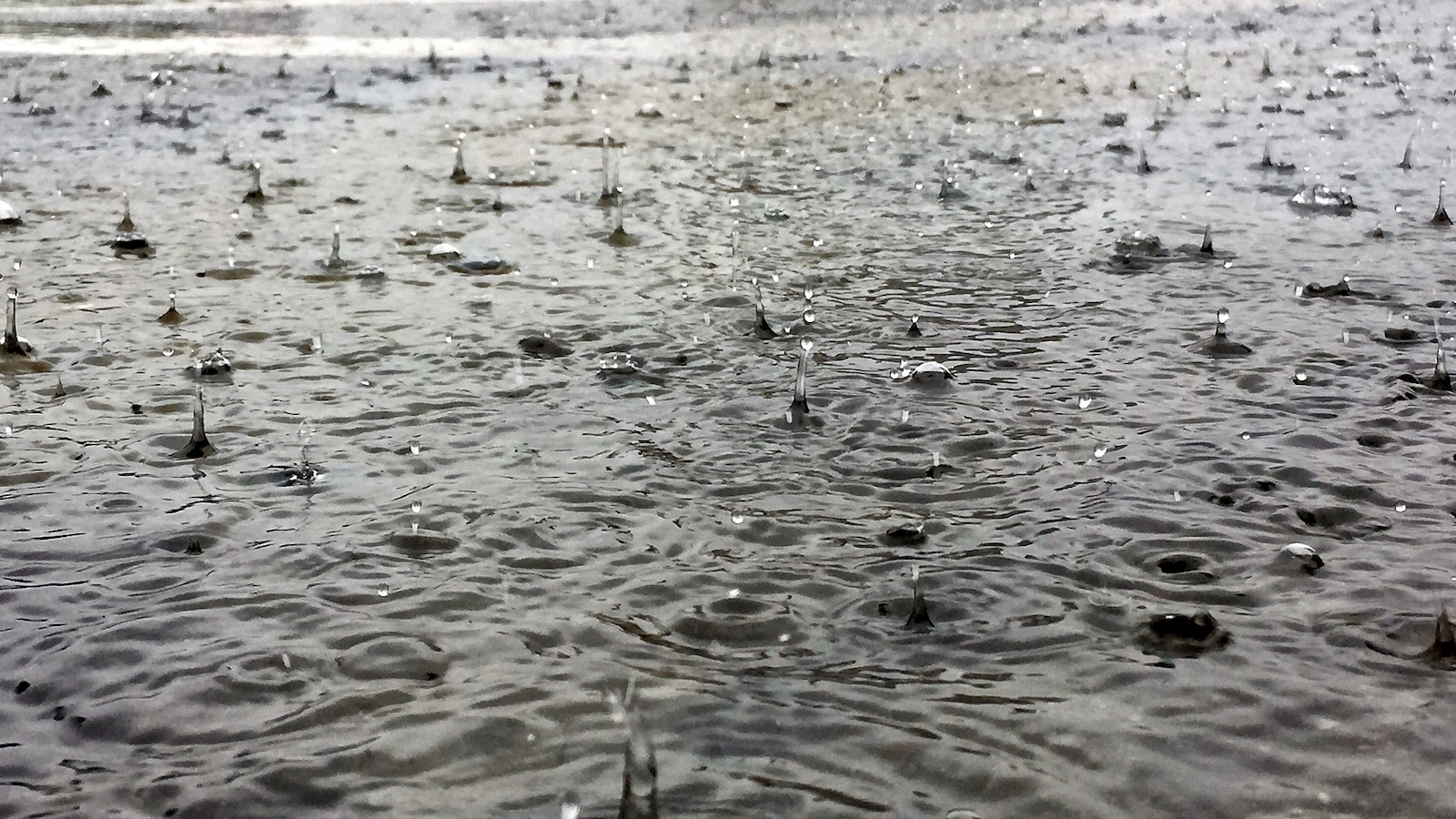 17 Million Under Flood Watch from Texas to Mississippi
