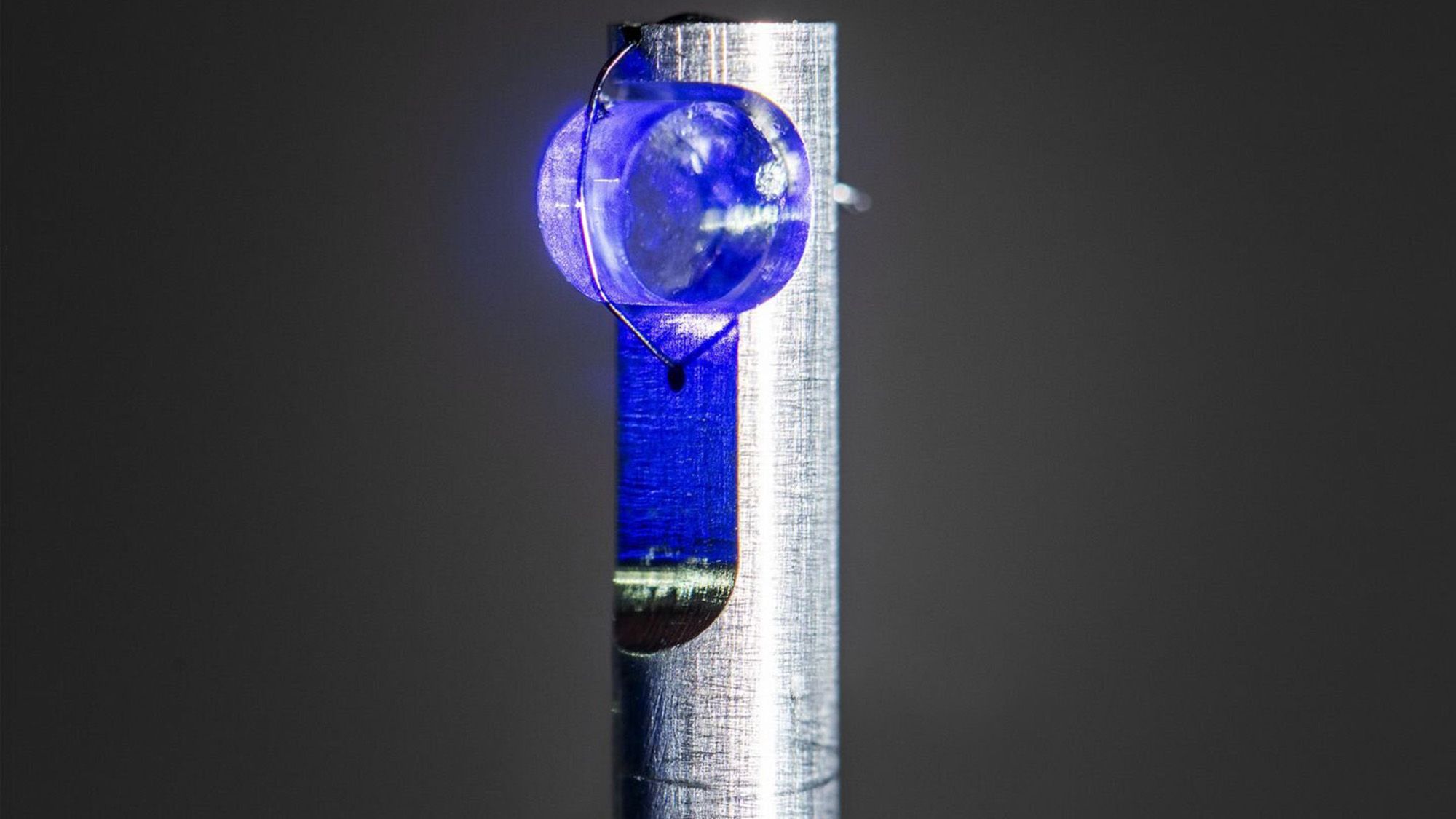 O Primeiro Relógio Nuclear do Mundo Marca o Tempo — E Pode Ajudar a Detectar uma Quinta Força Fundamental da Física