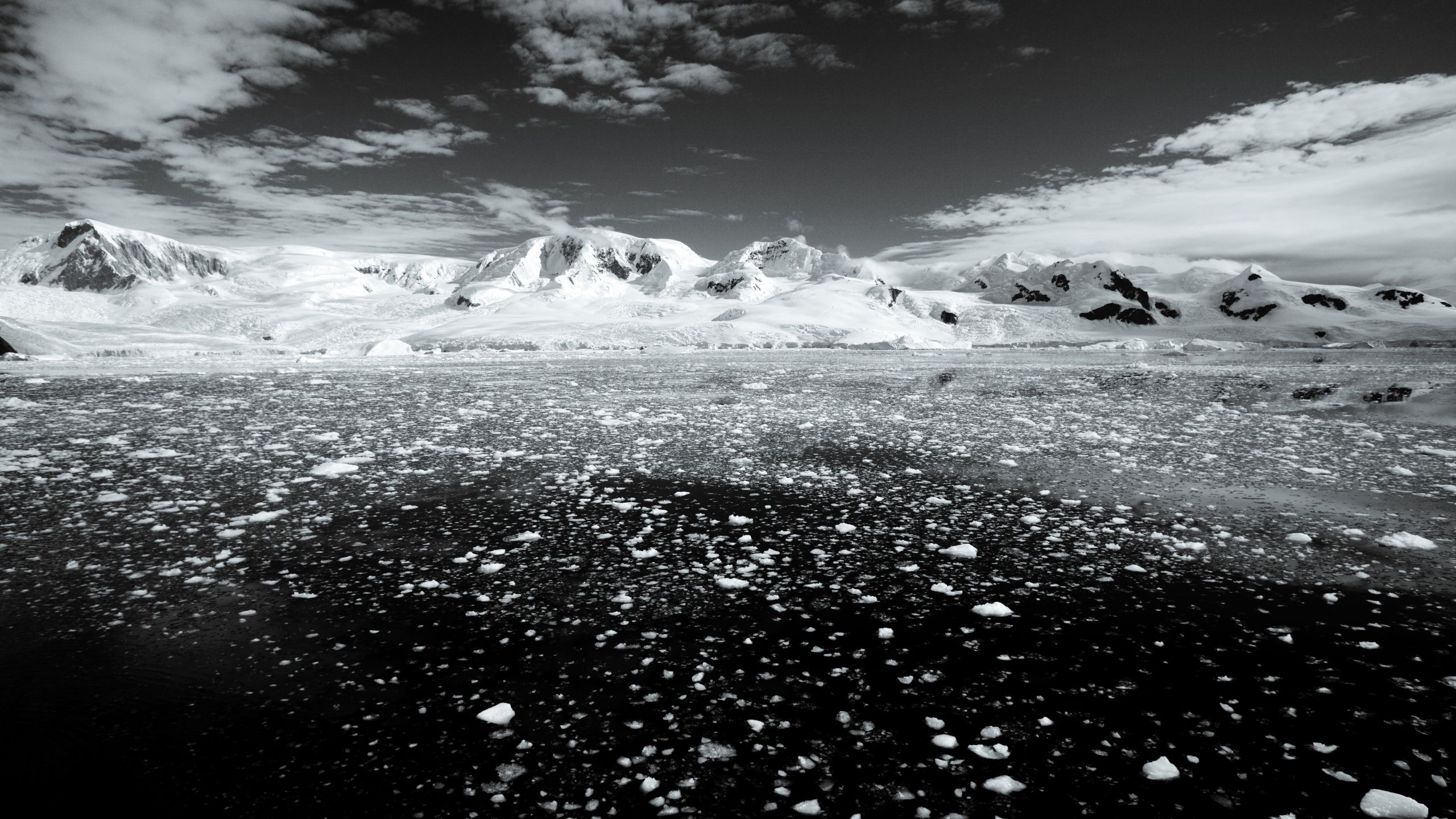A Texas-size Chunk of Winter Sea Ice is Missing from Antarctica