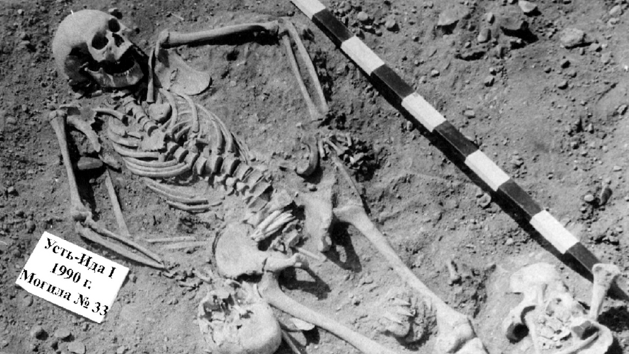 Descobertas Arqueológicas Revelam Antigos Vítimas da Peste na Sibéria