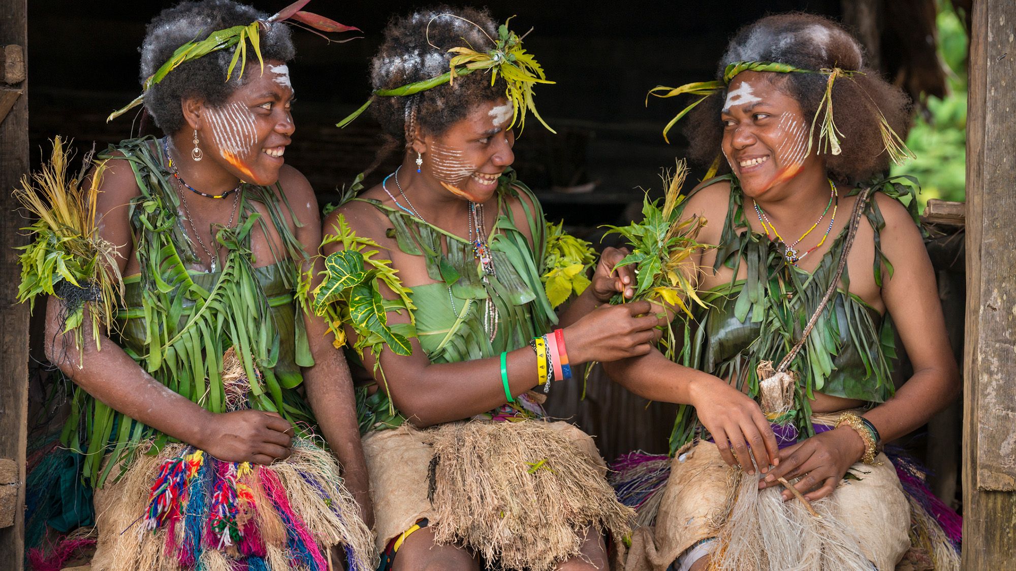 Impacto do DNA Denisovano na Imunidade dos Oceanianos Modernos