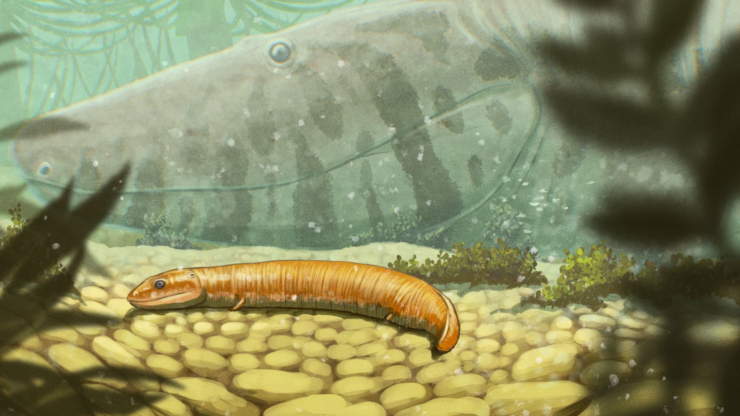 A Completely Different Story: 300 Million-Year-Old Fossils Reveal New Insights into Early Vertebrate Land Dwellers