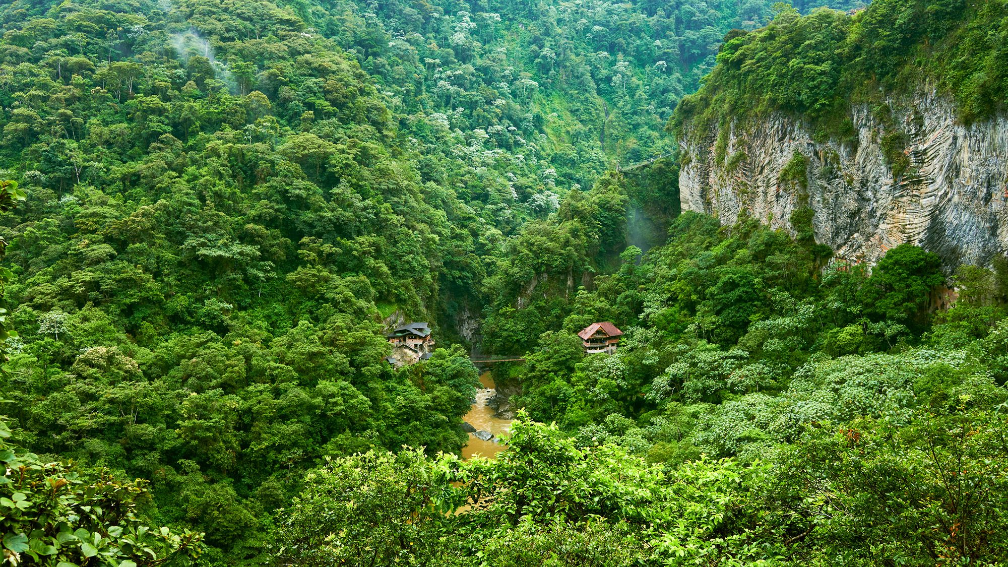 O Futuro da Floresta Amazônica: Uma Análise de 100 Anos à Frente