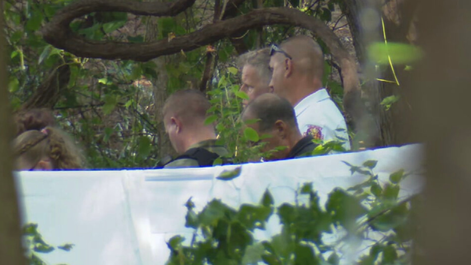 Tragédia nos Céus: Três Mortos em Queda de Avião Particular em Maryland