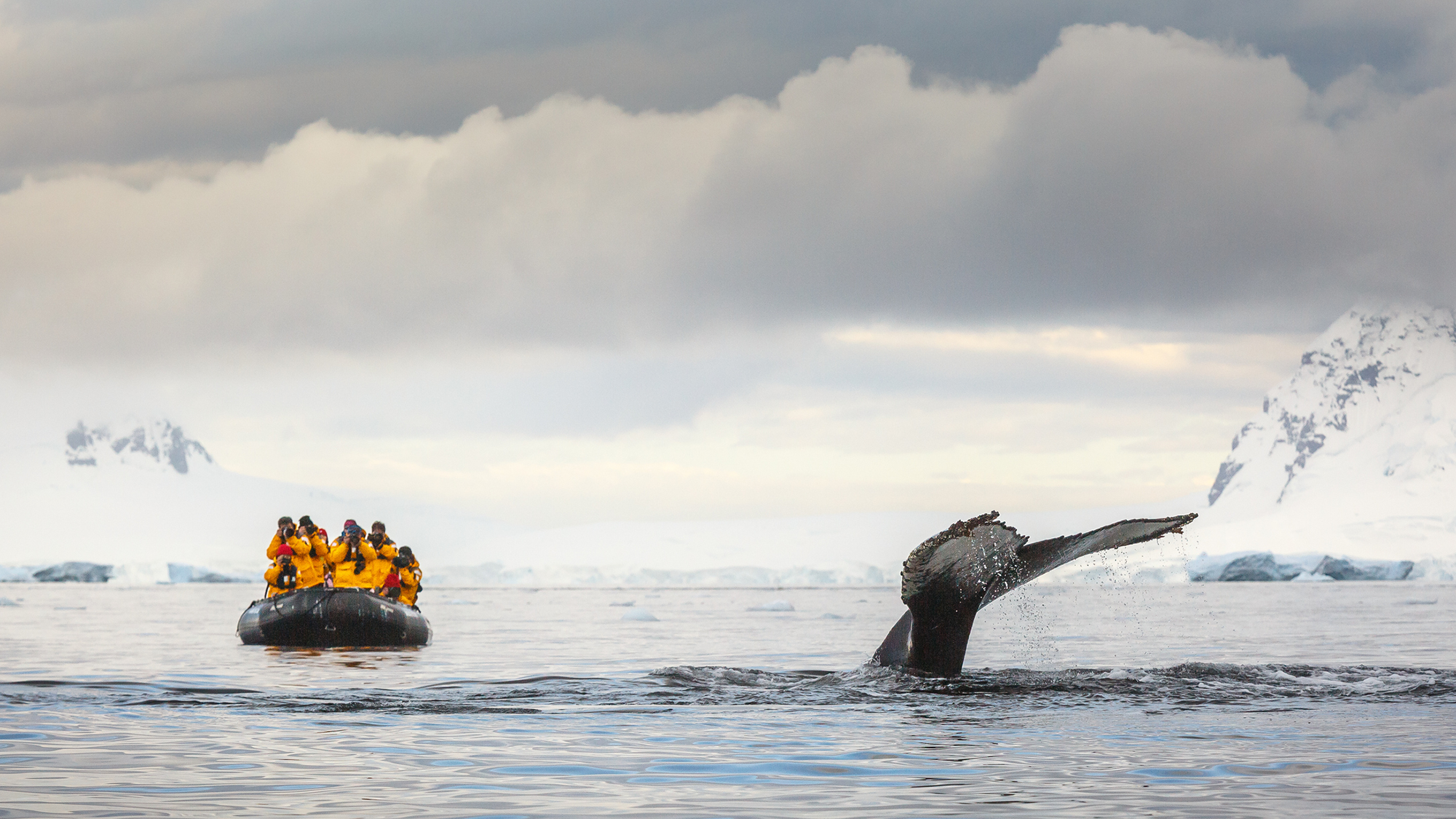 'They don’t deserve this beauty and this breathtaking fragility': The Troubling Future of Antarctic Tourism